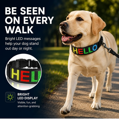 Revanzer Pup™ GlowTalk LED Collar