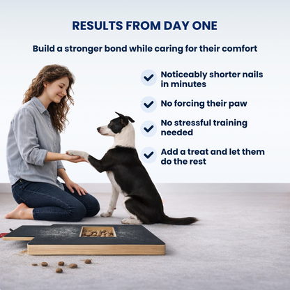 PawHarmony™ | Self-Grooming Board